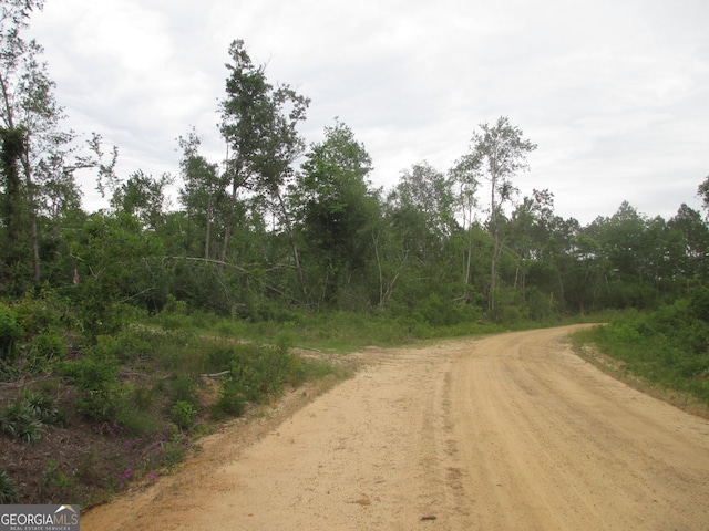 08600008T6 Hayride Rd, Lumber City, GA 31549