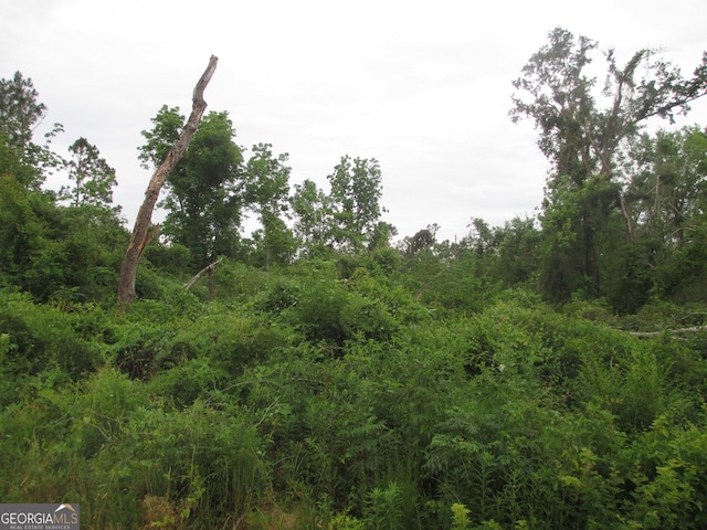 08600008T6 Hayride Rd, Lumber City, GA 31549