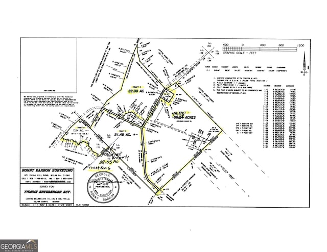 08600008T6 Hayride Rd, Lumber City, GA 31549