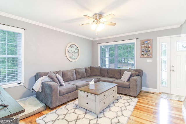 1609 Dillard Bray Rd, Royston, GA 30662 - living area with light wood finished floors, plenty of natural light, and ornamental molding