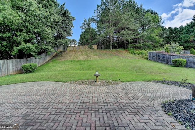view of yard featuring a patio and a fenced backyard