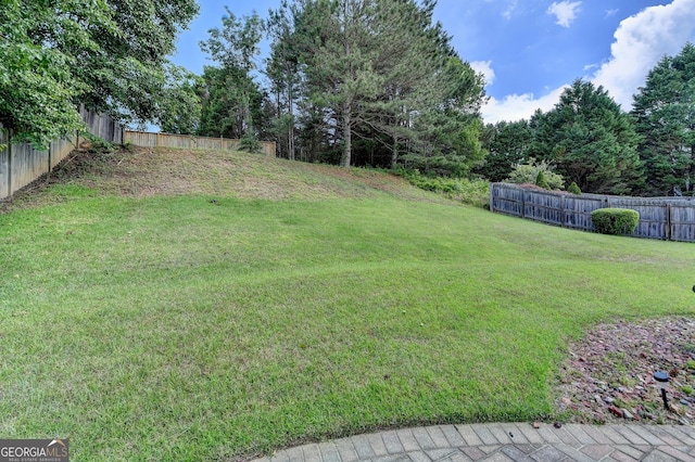 view of yard with a fenced backyard