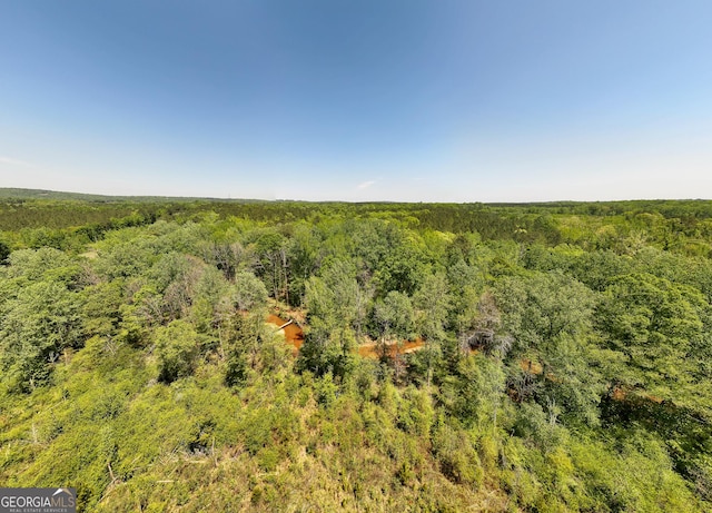 1755 Hunsinger Rd, Shiloh, GA 31826