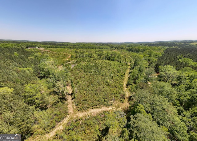 1755 Hunsinger Rd, Shiloh, GA 31826