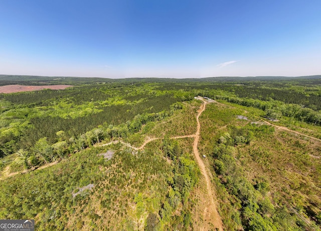 1755 Hunsinger Rd, Shiloh, GA 31826