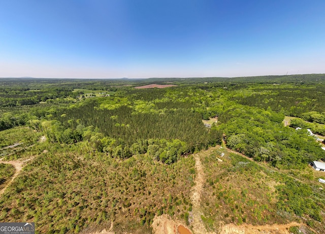 1755 Hunsinger Rd, Shiloh, GA 31826