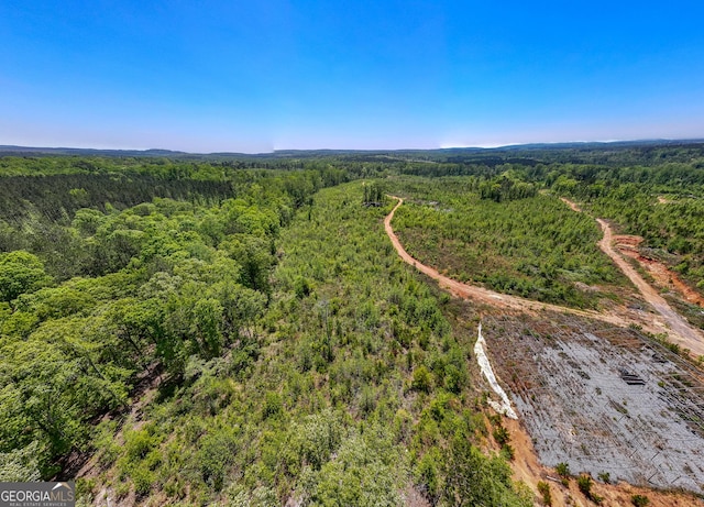 1755 Hunsinger Rd, Shiloh, GA 31826