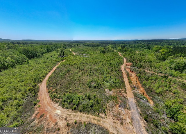 1755 Hunsinger Rd, Shiloh, GA 31826