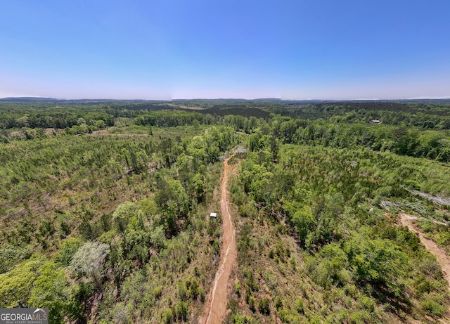 1755 Hunsinger Rd, Shiloh, GA 31826