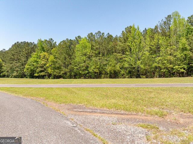 1755 Hunsinger Rd, Shiloh, GA 31826