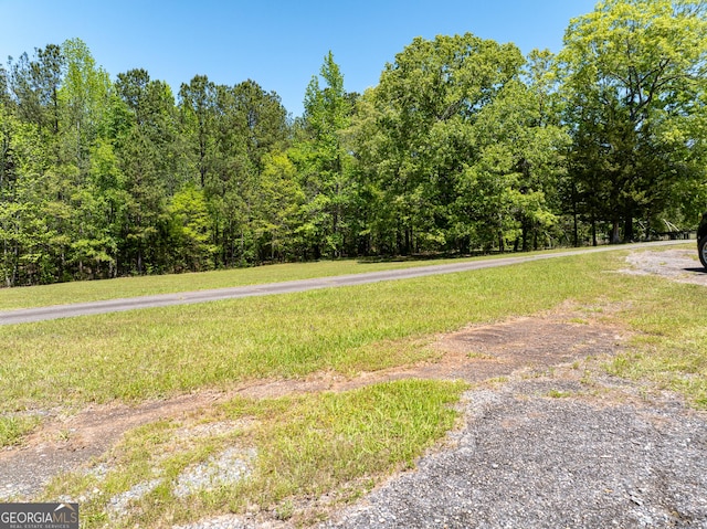 1755 Hunsinger Rd, Shiloh, GA 31826