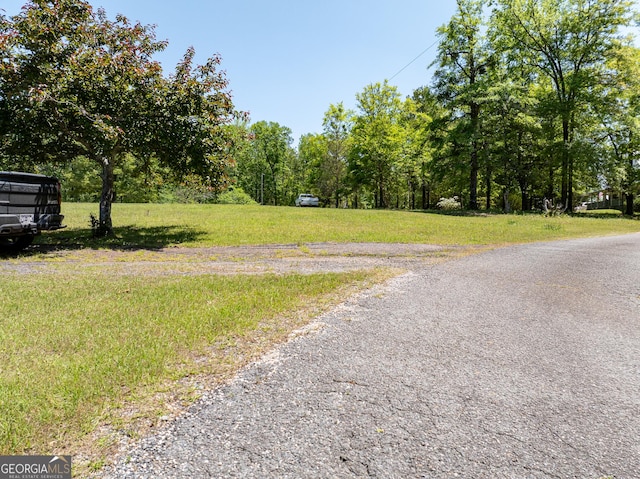 1755 Hunsinger Rd, Shiloh, GA 31826