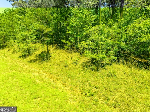 1755 Hunsinger Rd, Shiloh, GA 31826
