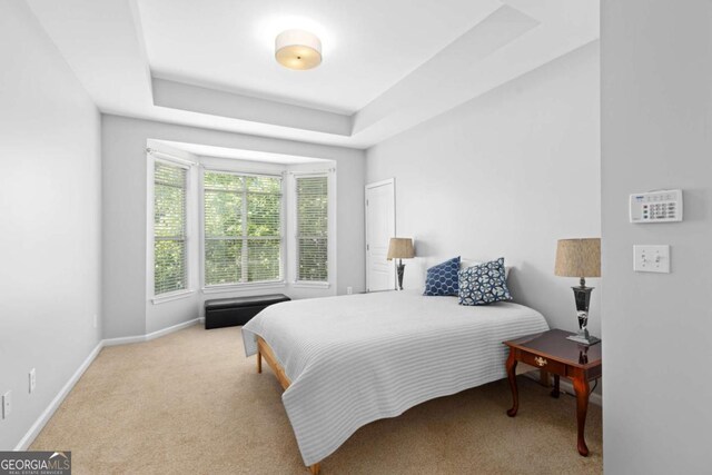 carpeted bedroom with baseboards and a raised ceiling