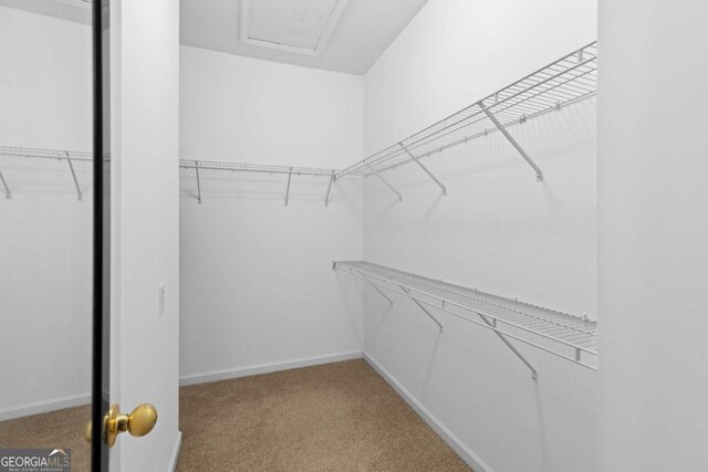 spacious closet with light colored carpet