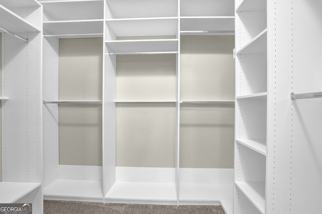 308 Jessica Way, Canton, GA 30114 - view of walk in closet