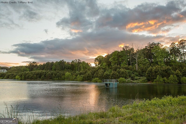 308 Jessica Way, Canton, GA 30114 - water view with a heavily wooded area