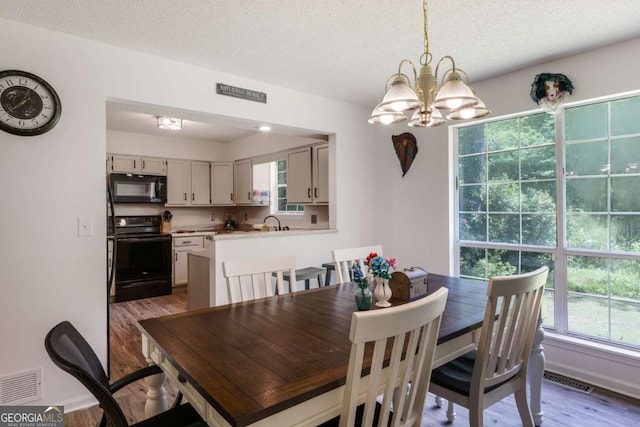 40 Carole Dr, Carrollton, GA 30117 - dining space with an inviting chandelier, visible vents, wood finished floors, and a healthy amount of sunlight