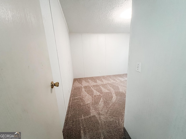 interior space featuring carpet flooring and a textured ceiling