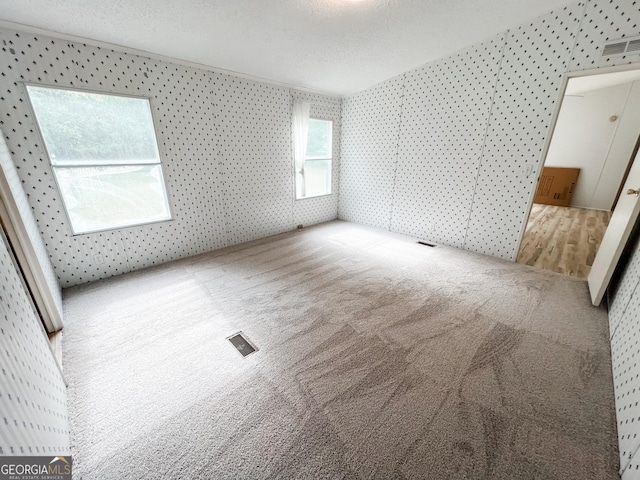 carpeted spare room featuring visible vents and a textured ceiling