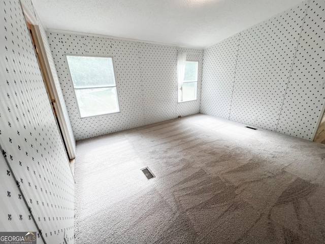 empty room featuring carpet and visible vents