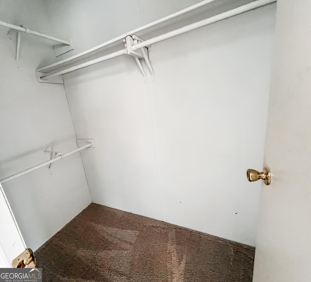 spacious closet with carpet