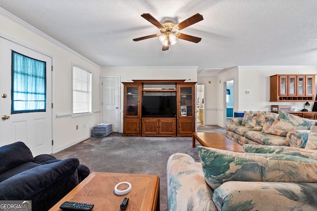 873 Austin Rd, Newnan, GA 30263 - living room featuring ceiling fan, carpet flooring, a textured ceiling, crown molding, and baseboards