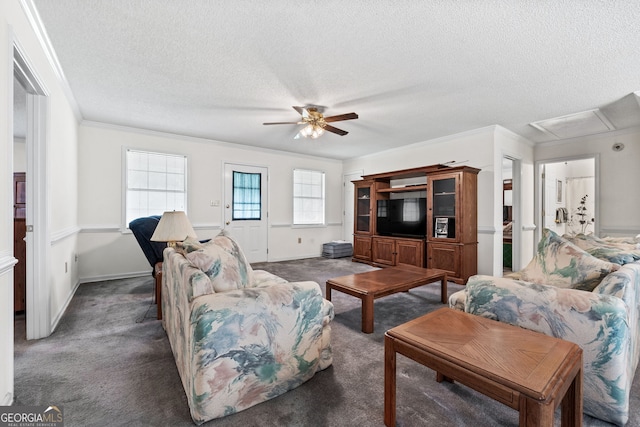 873 Austin Rd, Newnan, GA 30263 - carpeted living area featuring attic access, a textured ceiling, ceiling fan, ornamental molding, and baseboards