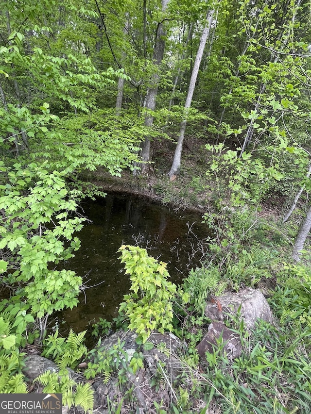 view of nature
