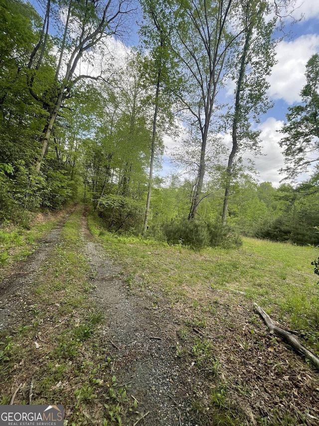 view of street with a forest view