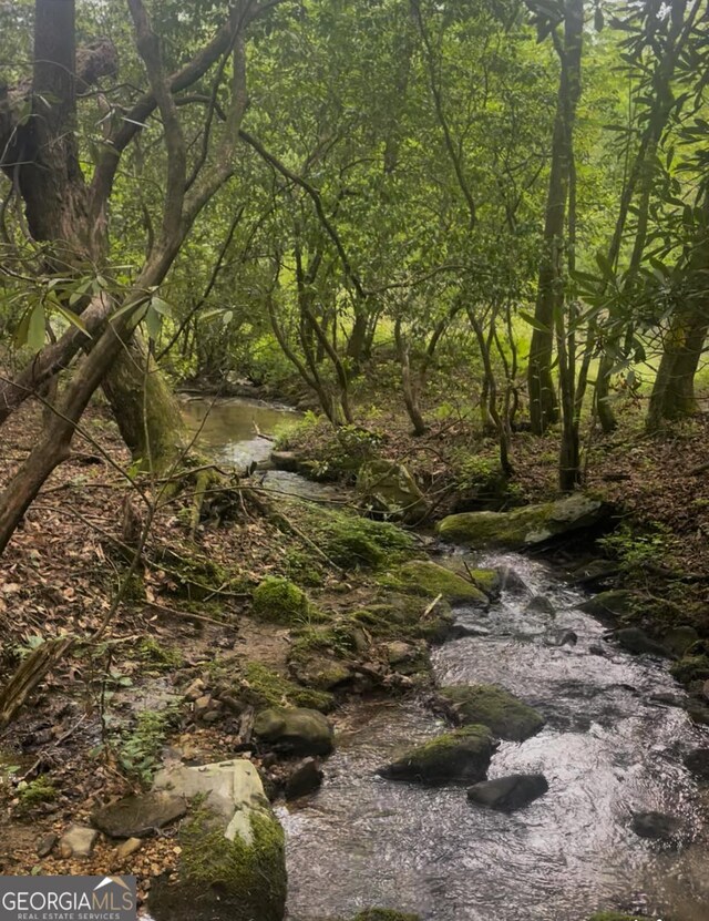 view of local wilderness