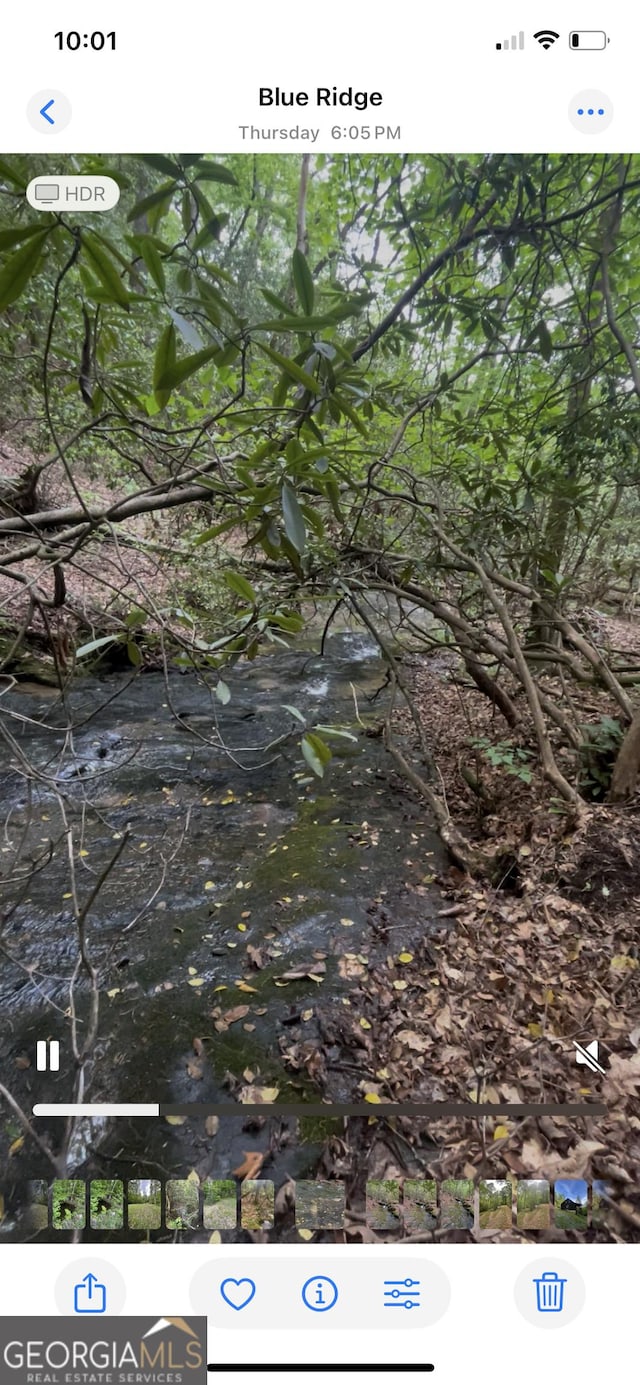 view of nature