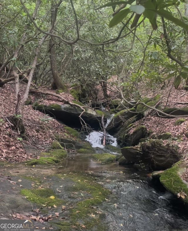 view of local wilderness