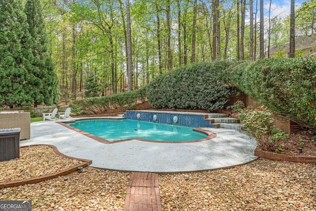 view of swimming pool featuring a patio