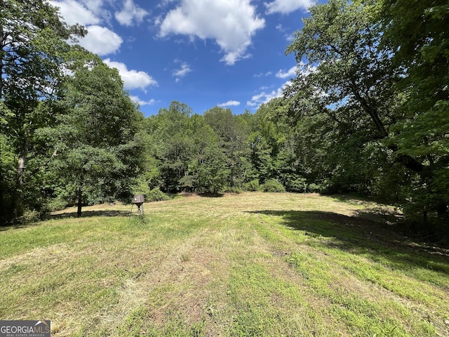 view of green lawn featuring a wooded view