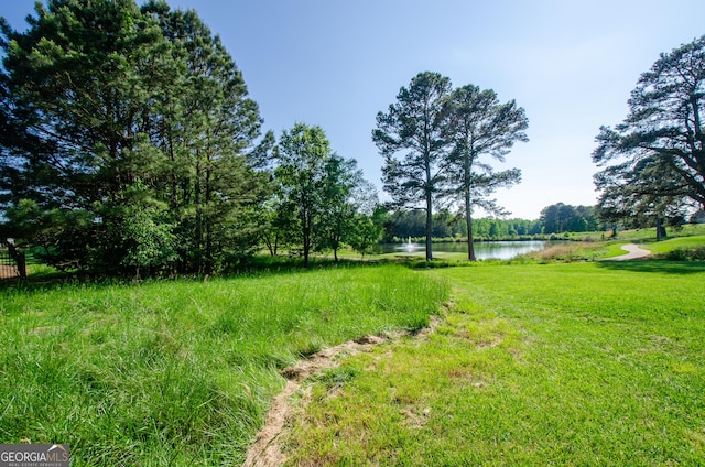 1340 Traditions Way, Jefferson, GA 30549 - view of green lawn with a water view