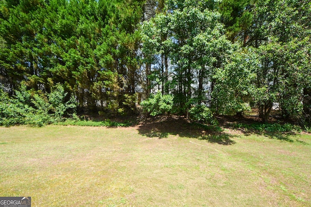 view of green lawn