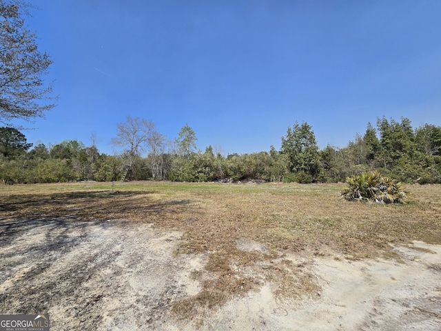 view of local wilderness with a wooded view