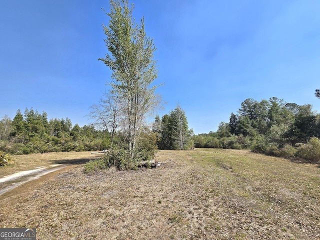 view of yard with a wooded view