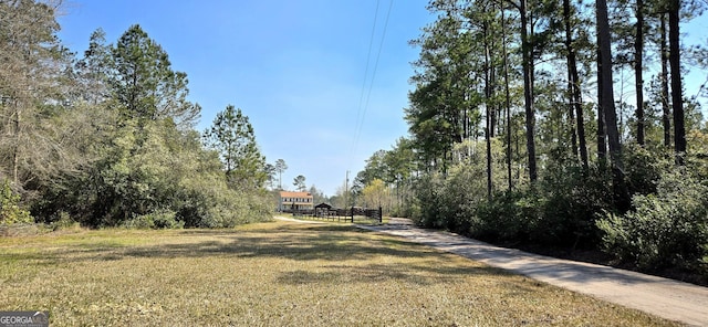 view of street featuring driveway