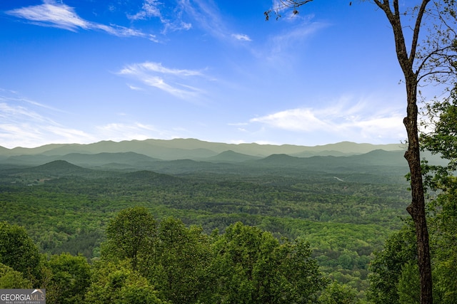 view of mountain background featuring a heavily wooded area