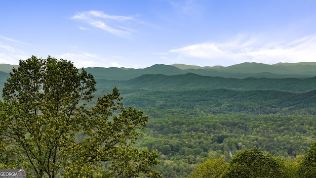 view of mountain background featuring a heavily wooded area