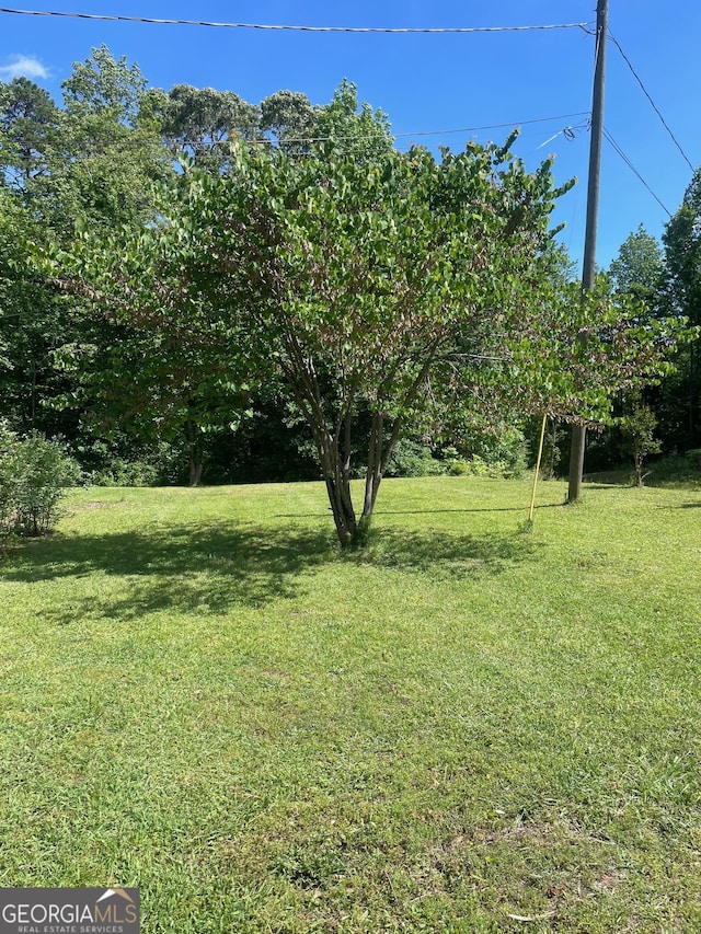 view of green lawn