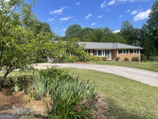 ranch-style house featuring a front yard and brick siding