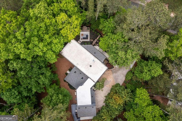 bird's eye view