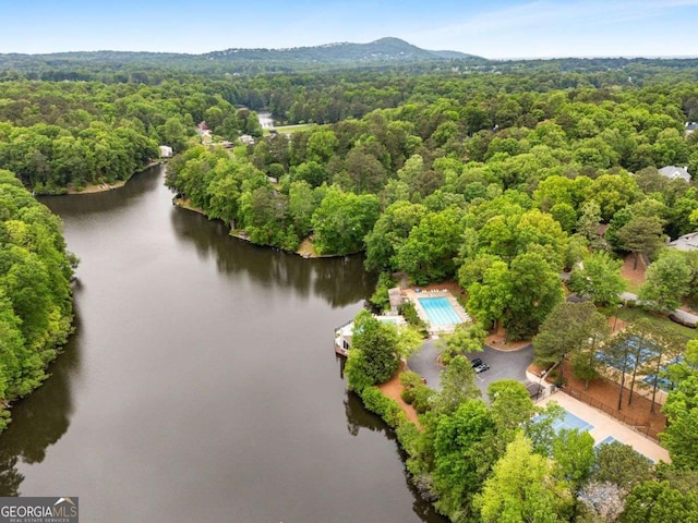 bird's eye view of a forest and a nearby body of water