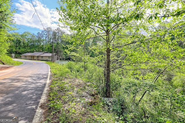 view of asphalt road