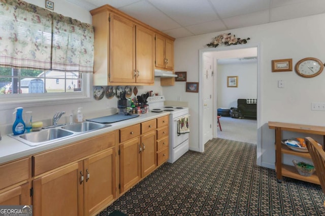 kitchen featuring white electric range, under cabinet range hood, a sink, light countertops, and a paneled ceiling