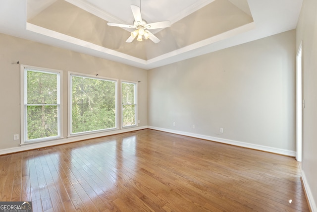 unfurnished room with a tray ceiling, healthy amount of natural light, and wood-type flooring