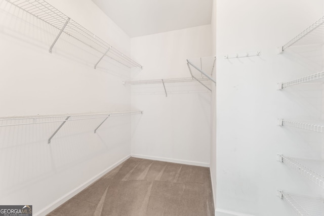 spacious closet featuring light carpet